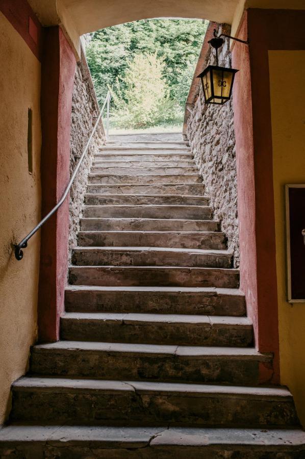 Апартаменты Casa Cecilia Санто-Стефано-Бельбо Экстерьер фото